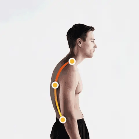 Product showcase image