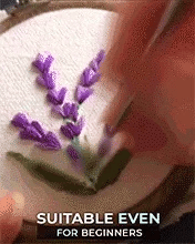 Product showcase image